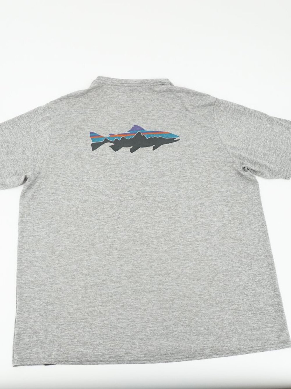 Patagonia Capilene Cool Daily Fitz Roy Trout T Shirt Men's XL Gorpcore Hike Run